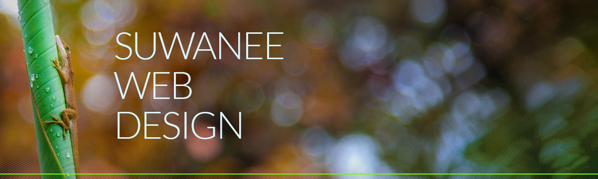 002-suwanee-website-design-web-designers