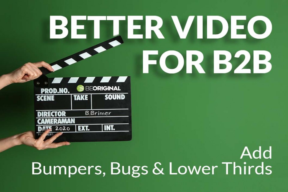 video-production-bumper-bugs-lower-thirds